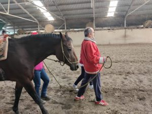 A passeggio con il cavallo