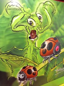 Cartellone con coccinelle