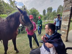 Cavallo che si avvicina per farsi accarezzare