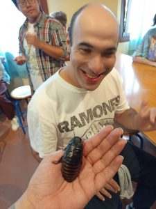 Grande insetto che cammina sulla mano