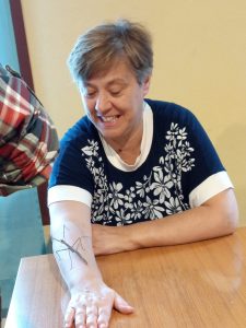 Insetto stecco sul braccio